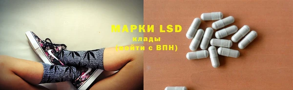 дурь Бородино