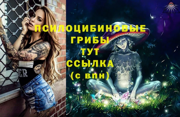 крисы Верхнеуральск
